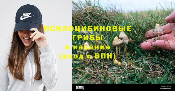 дистиллят марихуана Белокуриха