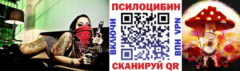 Купить закладки  Балашов  Псилоцибиновые грибы Psilocybine cubensis 